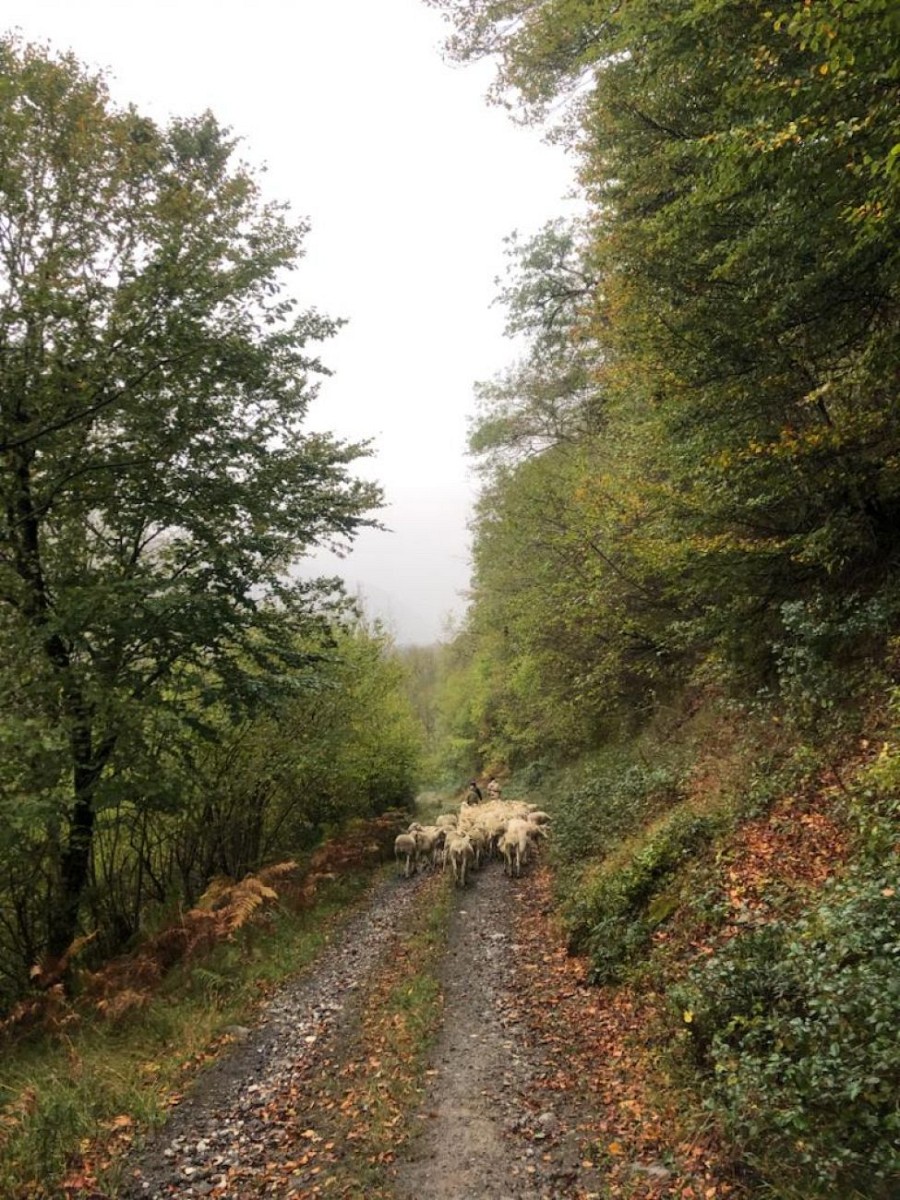 Chemin des Cavaliers — photo 2