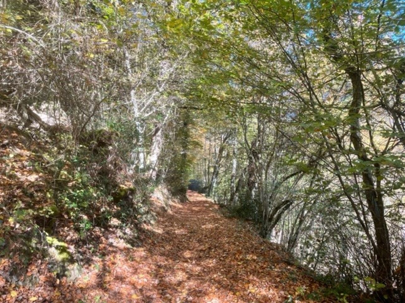 Chemin des Cavaliers — photo 3