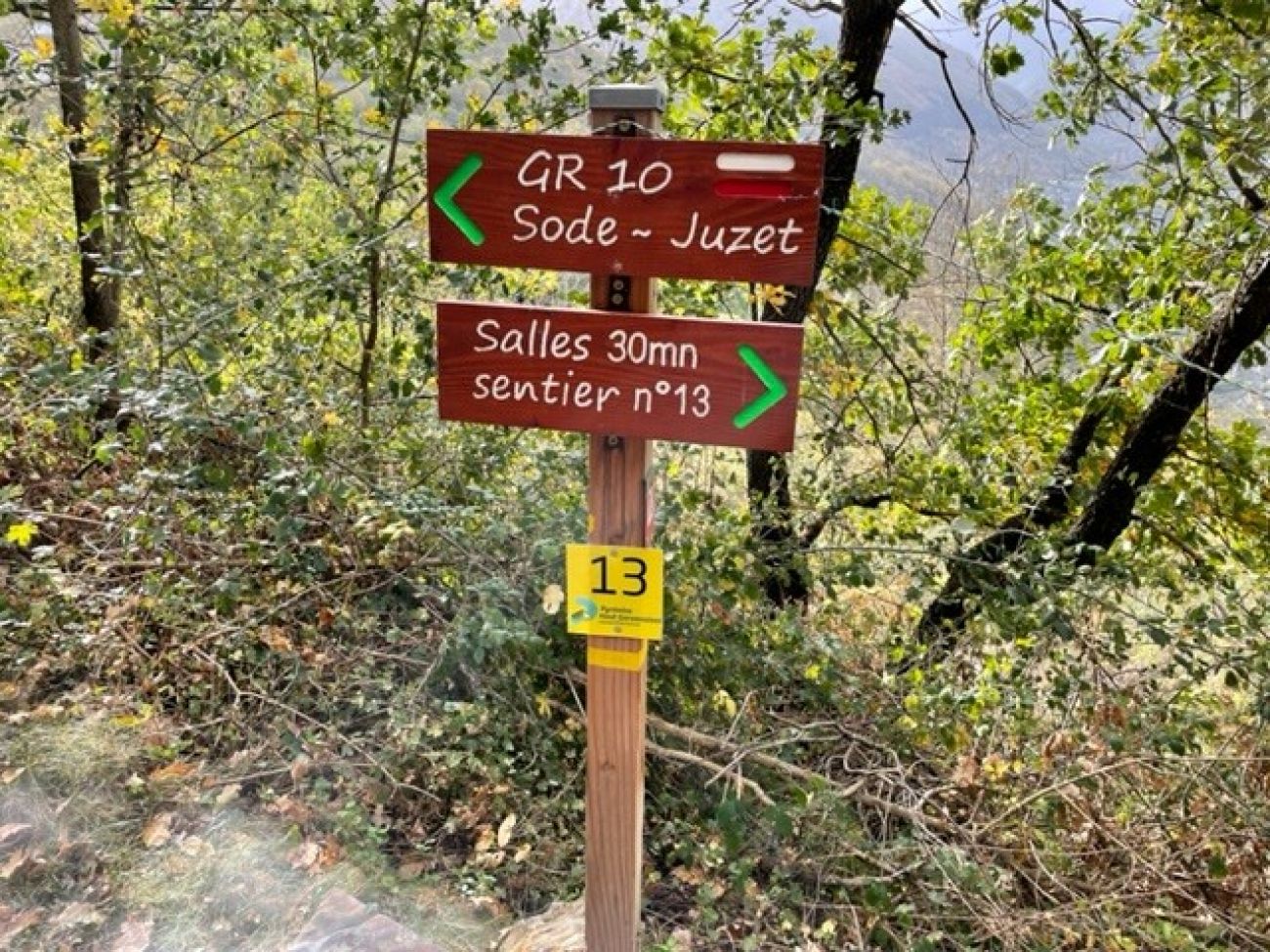Chemin du Bois de Salles — photo 2