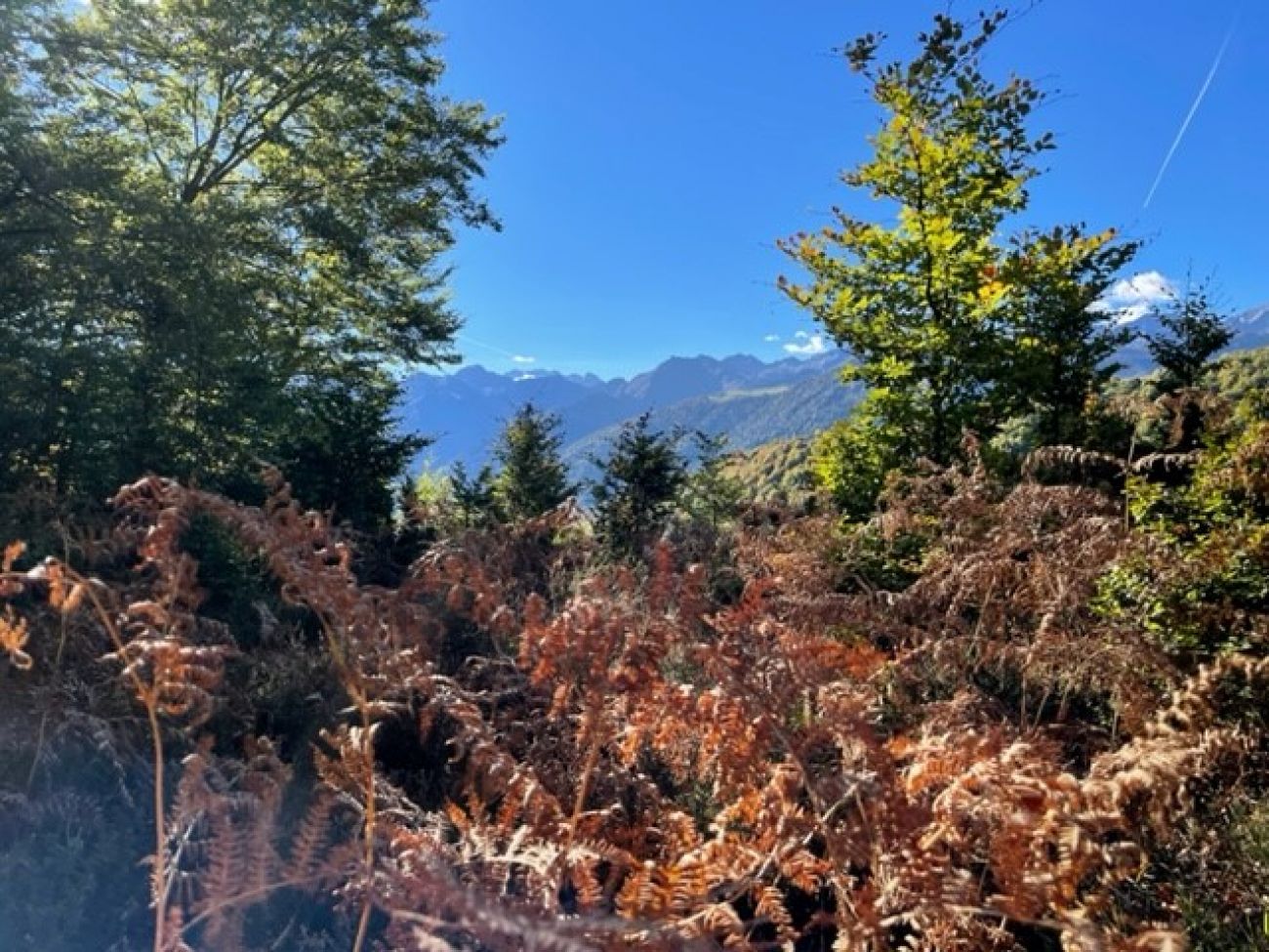 Col de Pradets — photo 2