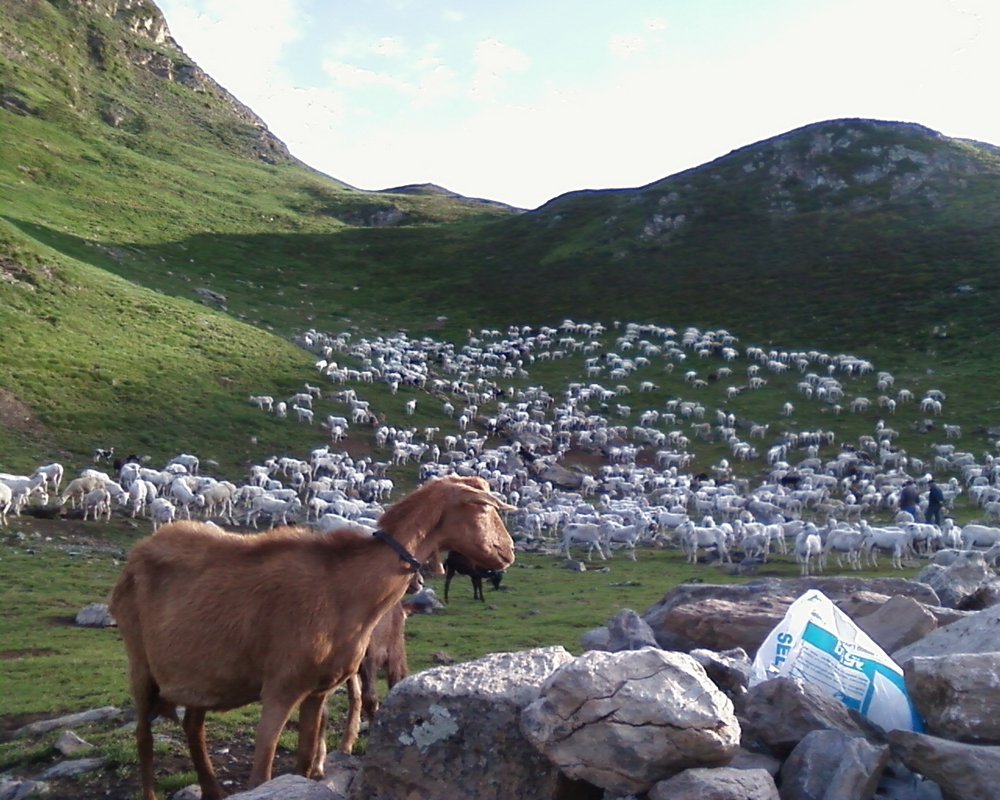 Ferme Auberge Chez Justau — photo 3