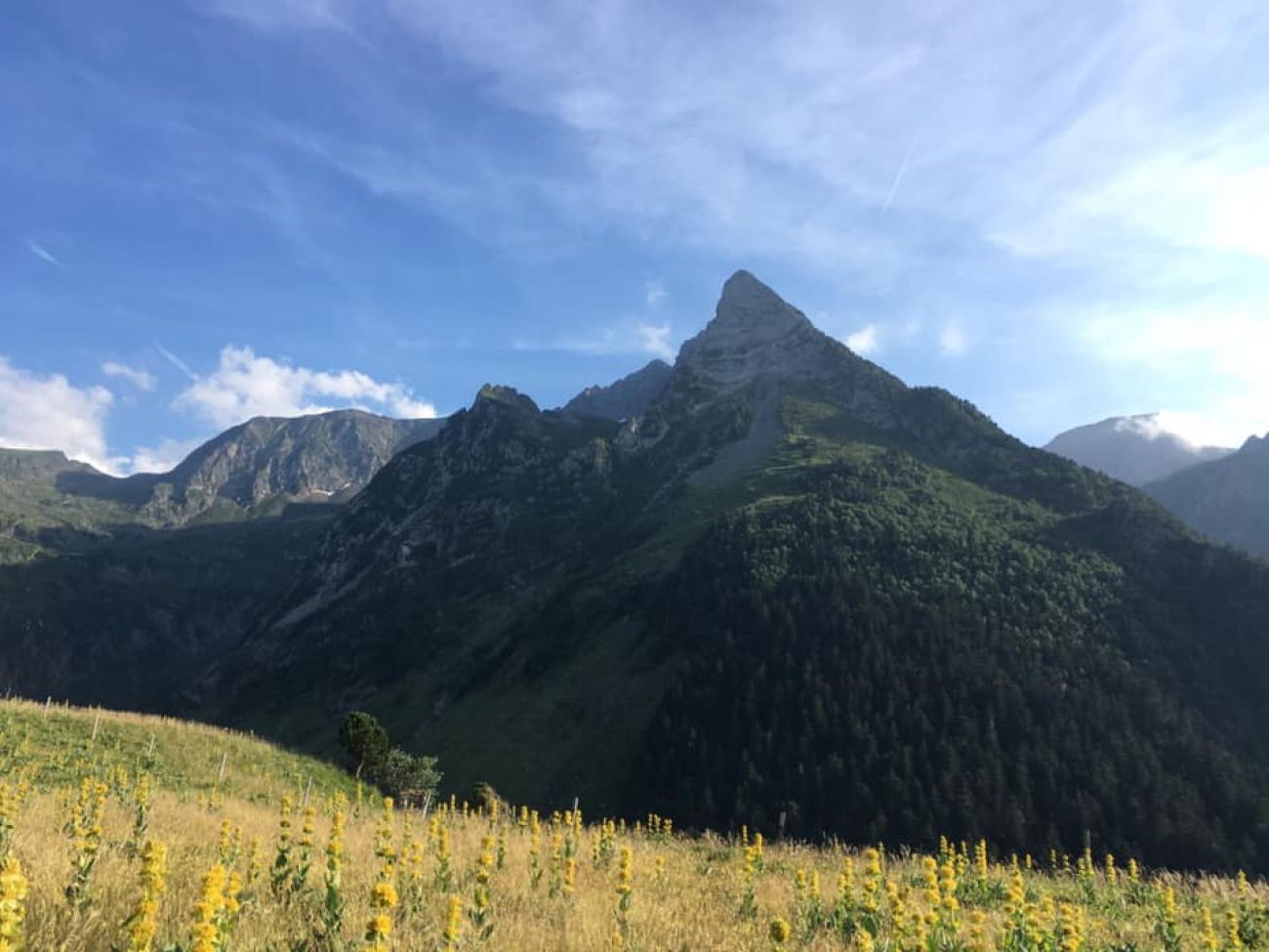 Le Tour du Plateau de Campsaure — photo 2
