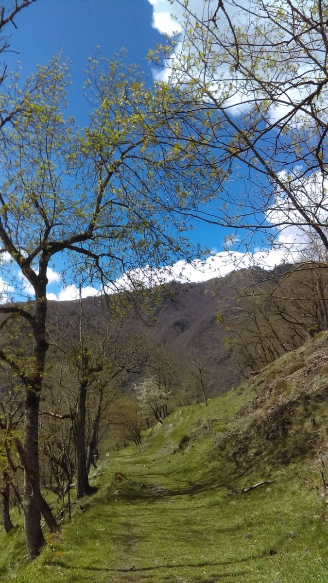Les Granges de Hayroles — photo 2