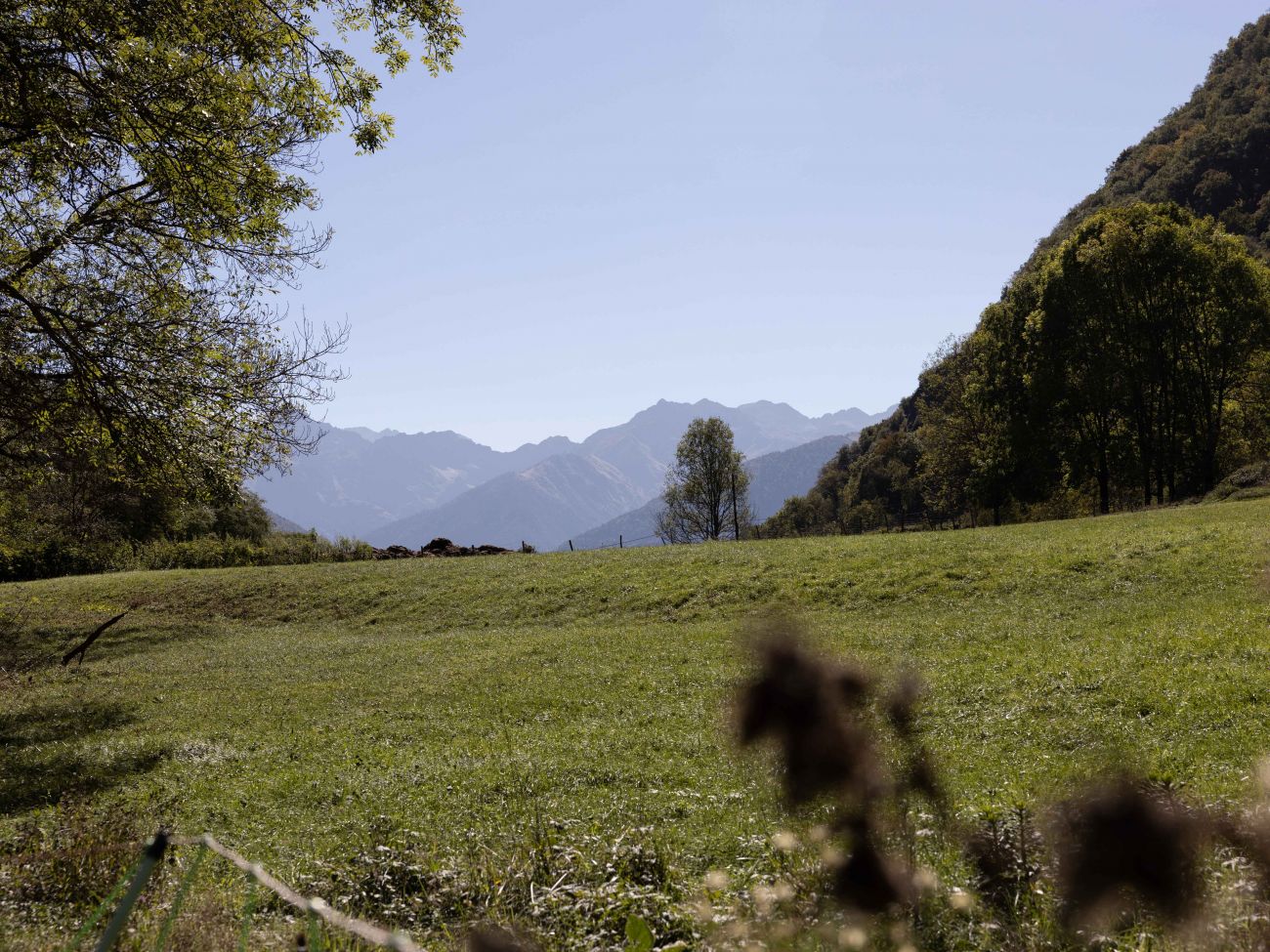 Pl 1 - Vallée de la Pique — photo 2