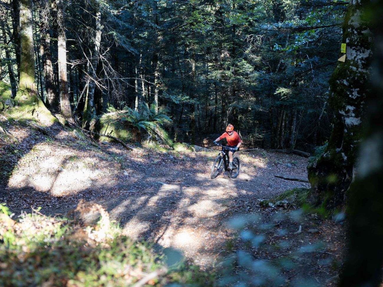 Pl 2 - Hournet — photo 2