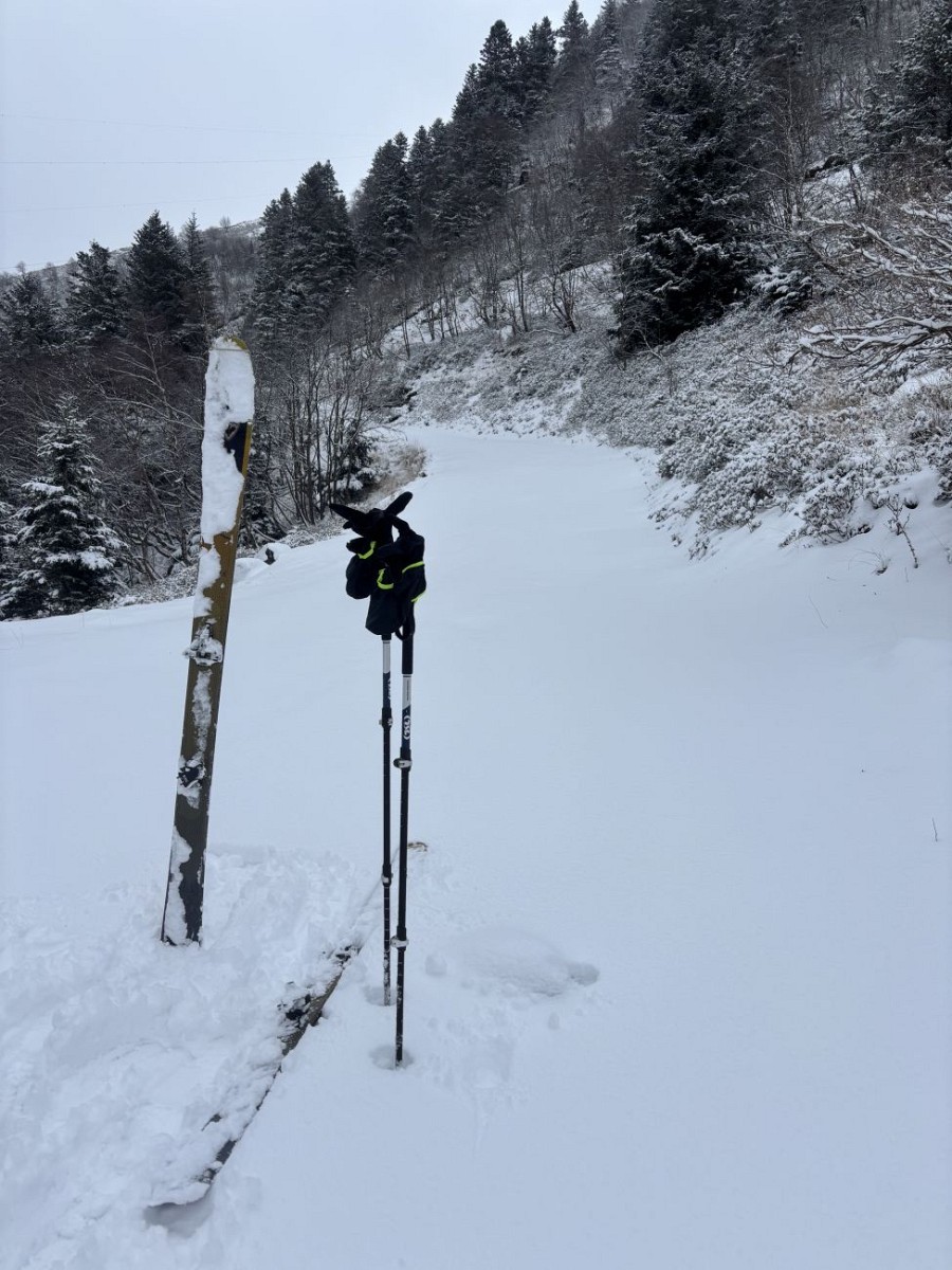 Skirando - Bilourtet