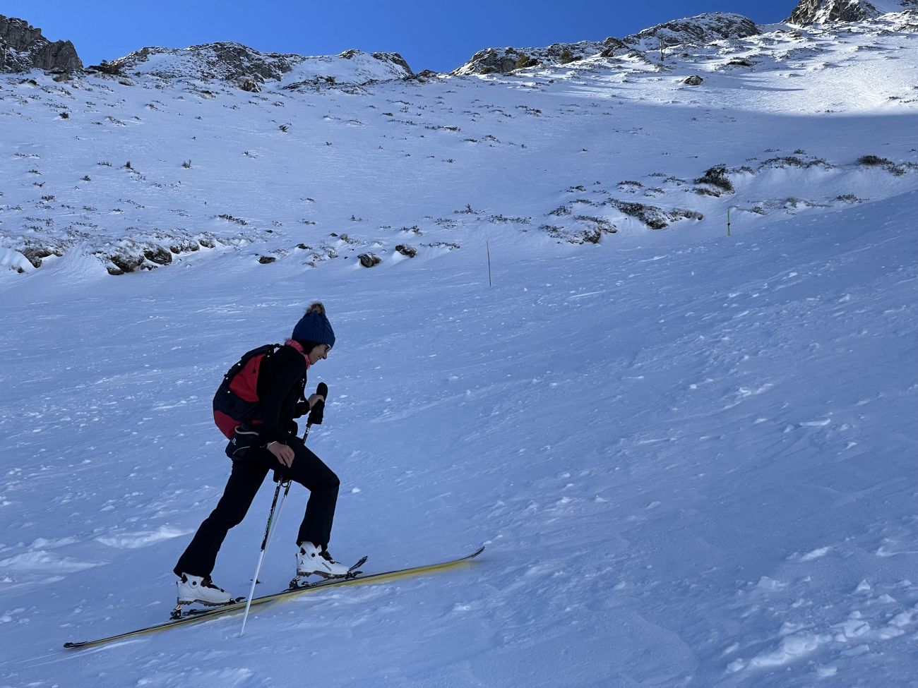 Skirando - Marmottes