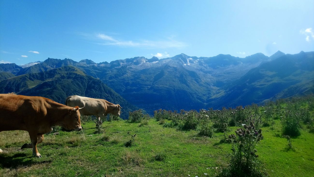 Superbagnères Par les Granges de Gourron