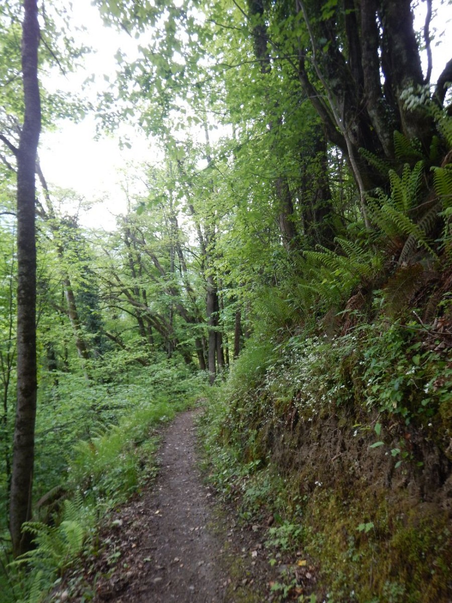 Thermes Par le Bosquet