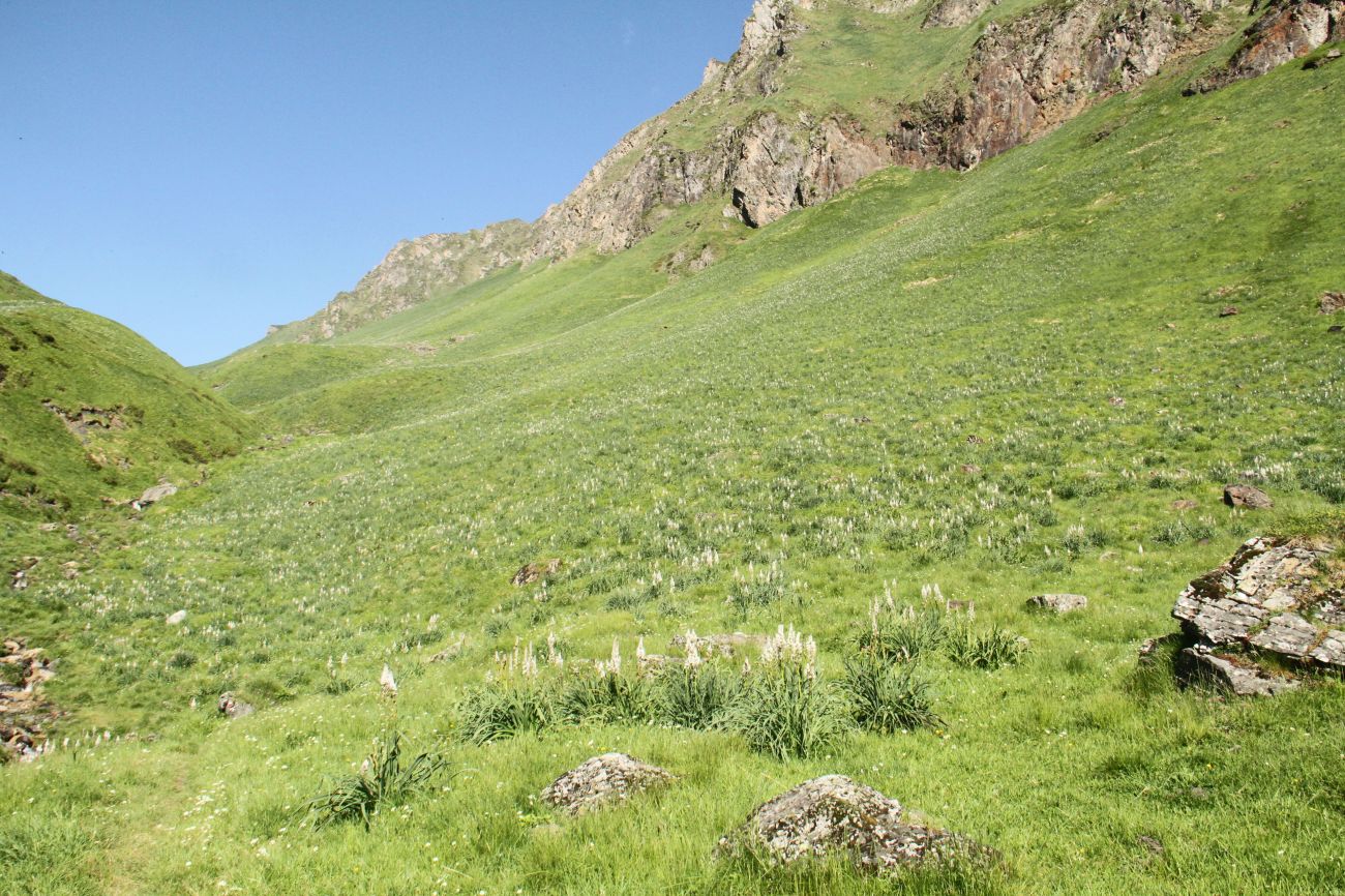 Val d'Esquierry — photo 2