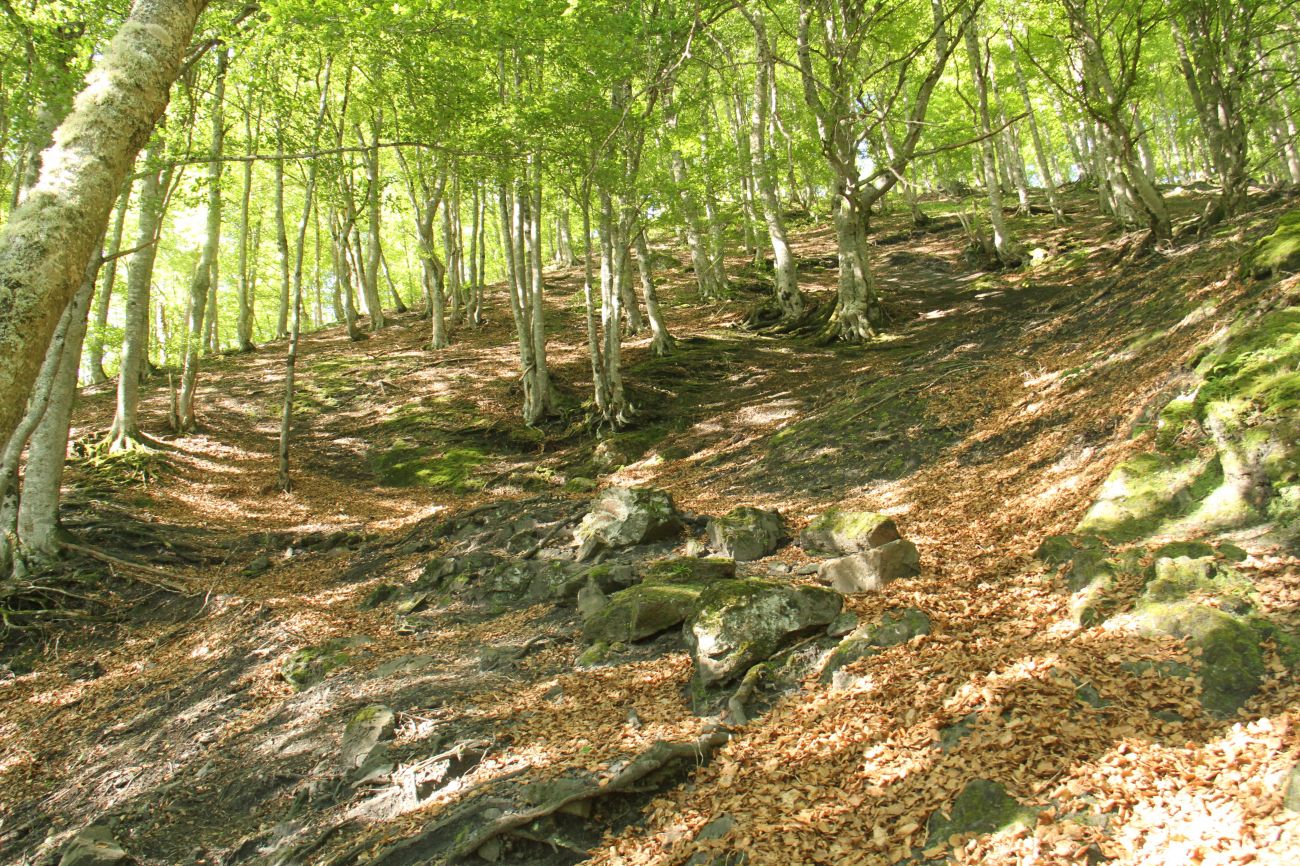 Val d'Esquierry — photo 3