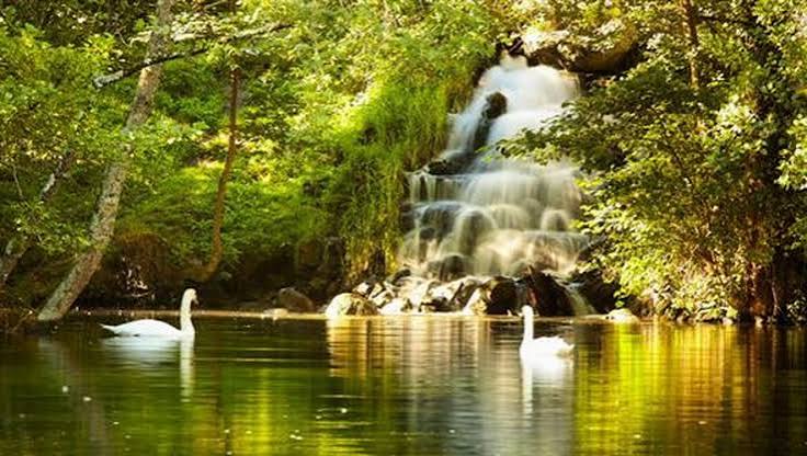 Le parc des Quinconces